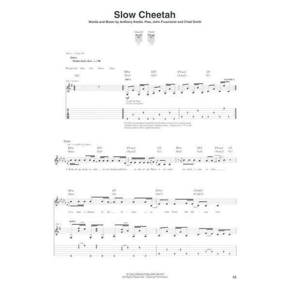 Hal Leonard Red Hot Chili Stadium Guitar