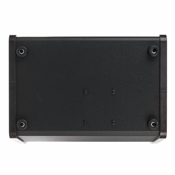 Boss Acoustic Singer Live LT