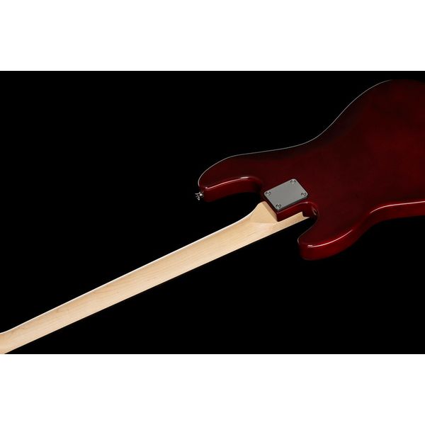 Harley Benton PJ-4 HTR Deluxe Series Set 1