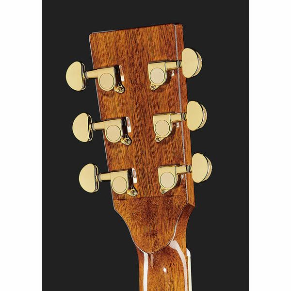 Harley Benton Custom Line CLR-ResoElectric