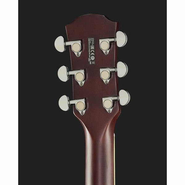 Yamaha APX 600 FM TBS