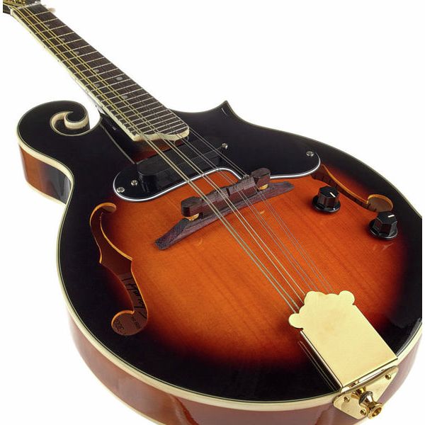 Harley Benton HBMA-100E- VS