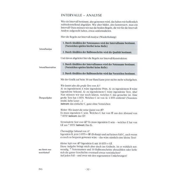 Voggenreiter In Vivo Guitar