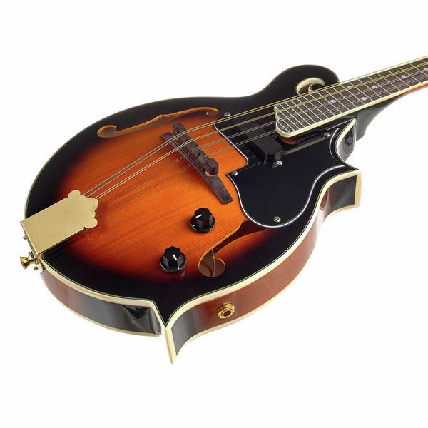 Harley Benton HBMA-100E- VS