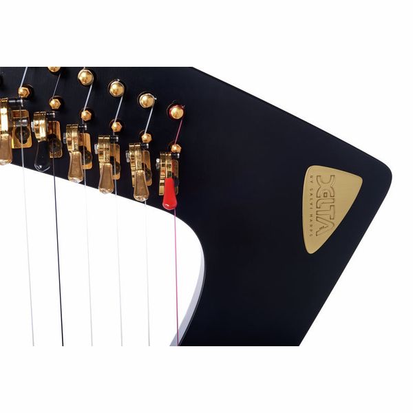Salvi Delta Electric Harp Ebony