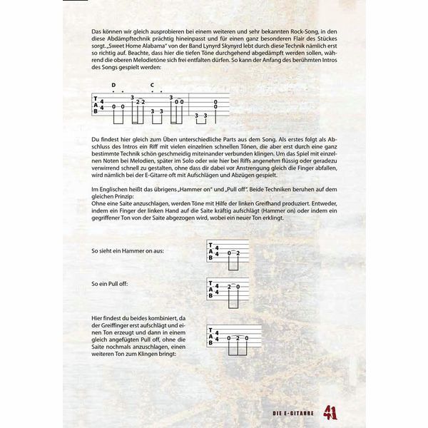 Voggenreiter Die E-Gitarre