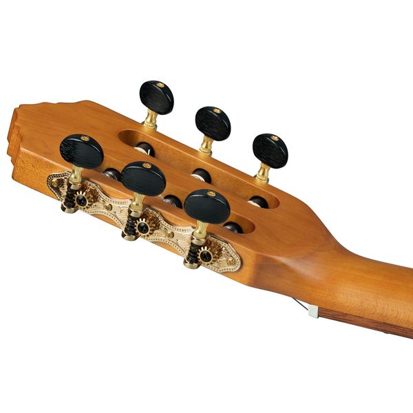 Ortega RCE23RO Thermo Series