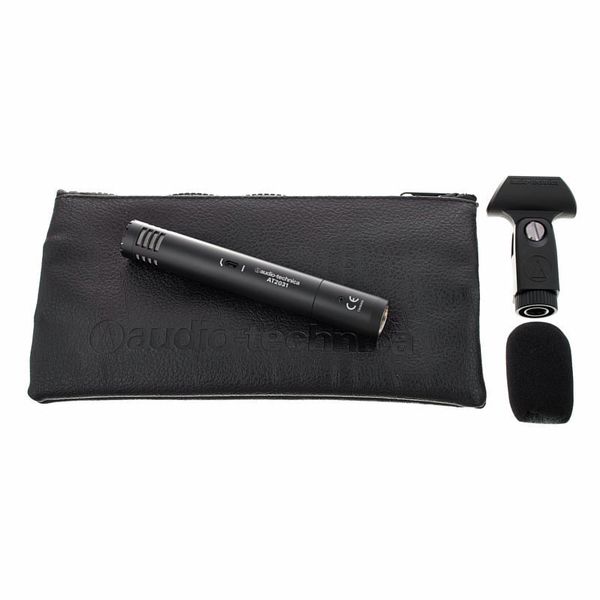 Audio-Technica AT 2031