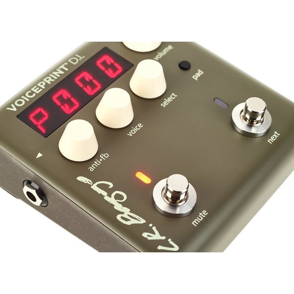 L.R.Baggs Voiceprint DI