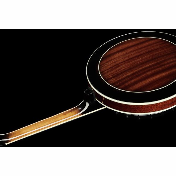 Gold Tone IT-250-F Irish Tenor Banjo w/C