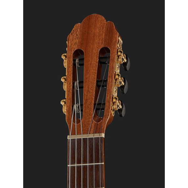 Gewa Pro Arte GC210A