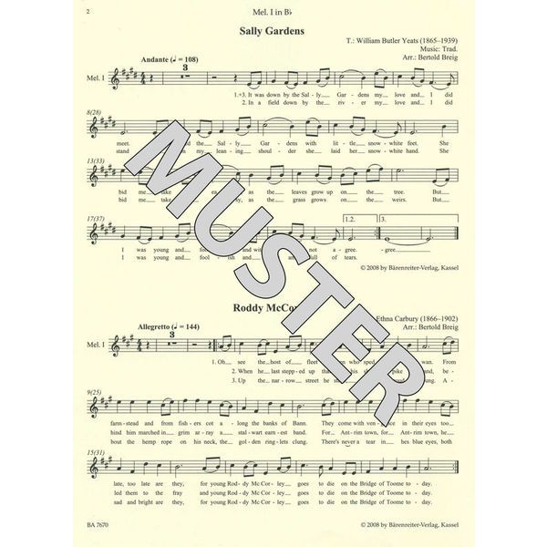 Brenreiter combocom Irish