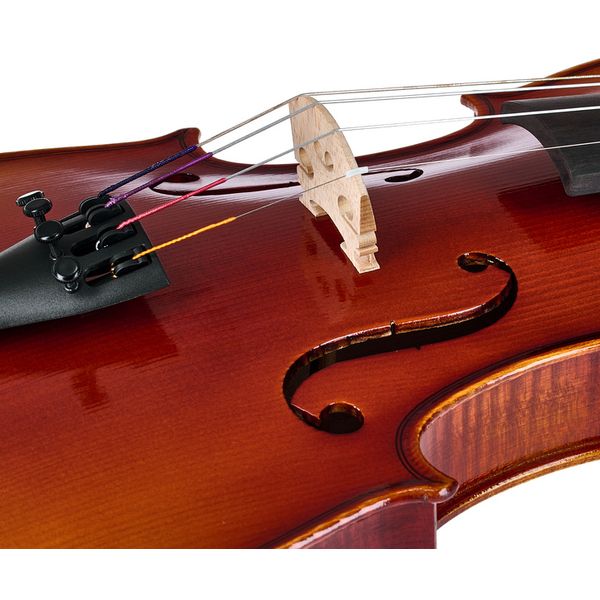 Gewa Ideale Violin Set 4/4 SC MB