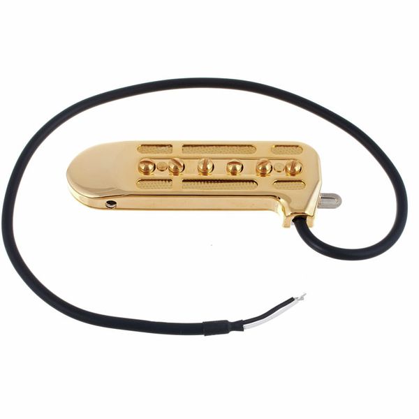 DeArmond Rhythm Chief 1100