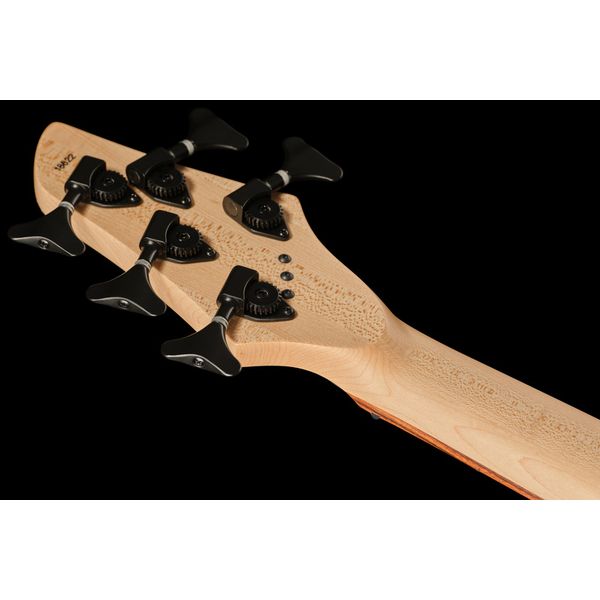 Dingwall John Taylor Signature 5 BK