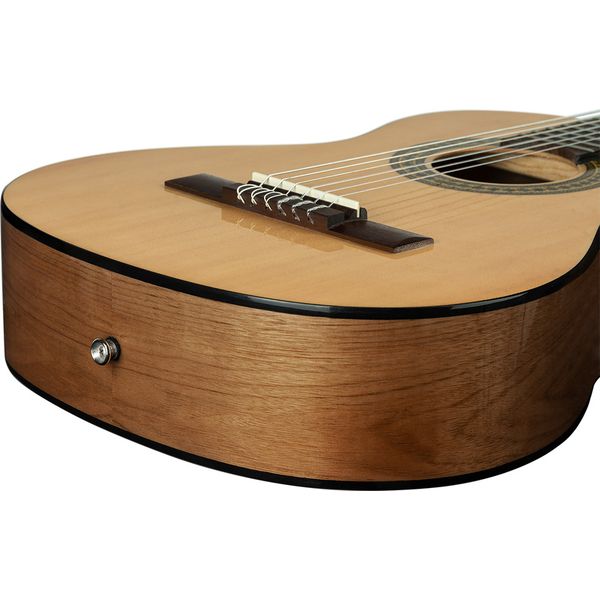 Ortega RPPC34 Pickers Pack