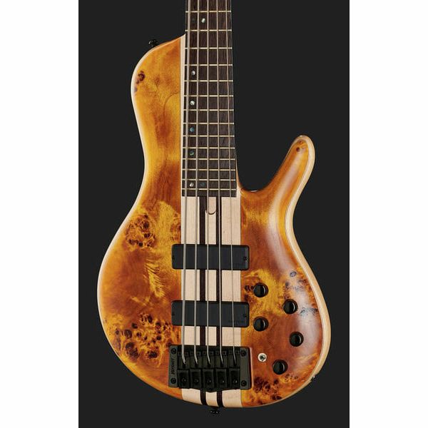 Cort A5 Plus SC Amber Open Pore