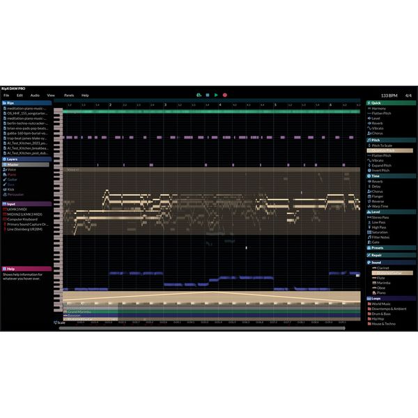 Hit'n'Mix RipX DAW Pro