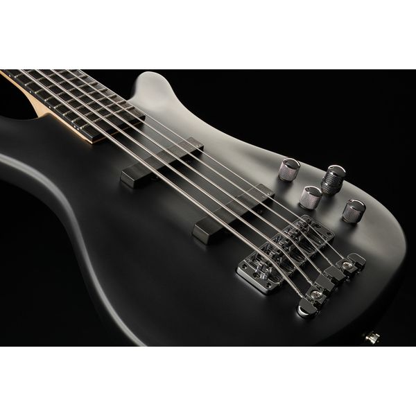 Warwick Artist Line Robert Trujillo 5