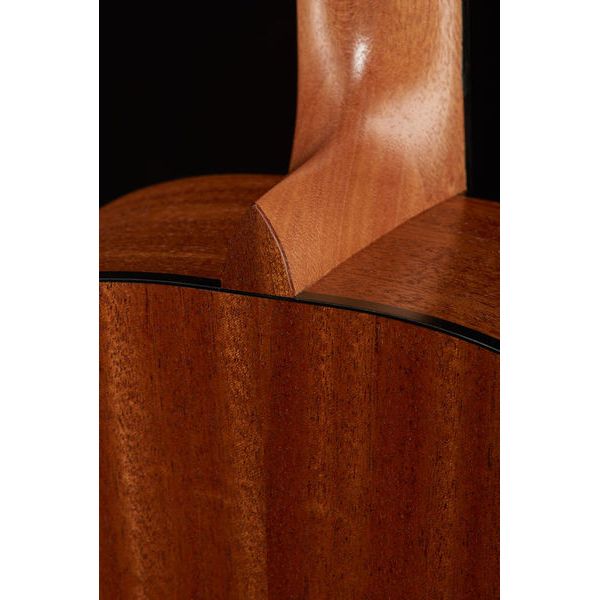 La Mancha Rubinito LSM-N