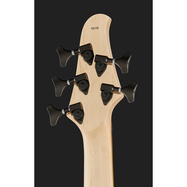 Dingwall D-Roc Std 5 Vintage Burst