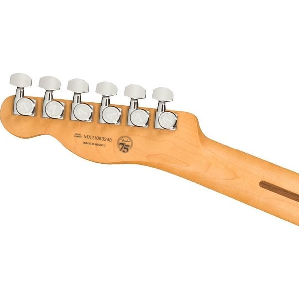 Fender Player Plus Tele Silver Smoke