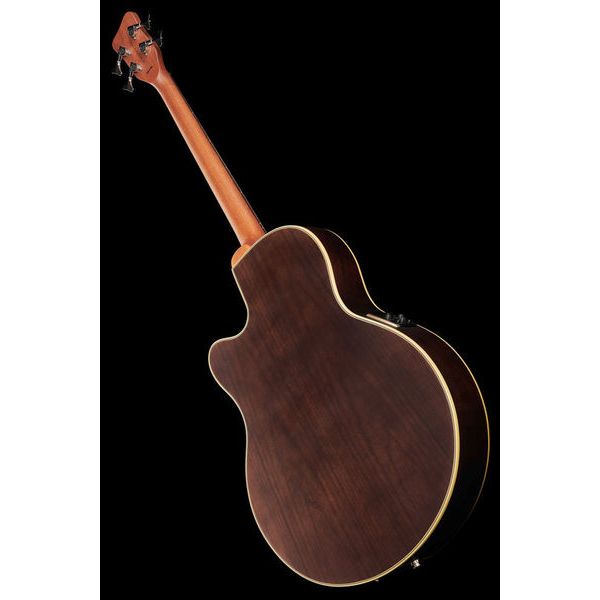 Warwick Alien Deluxe 4 Hybrid Thinline