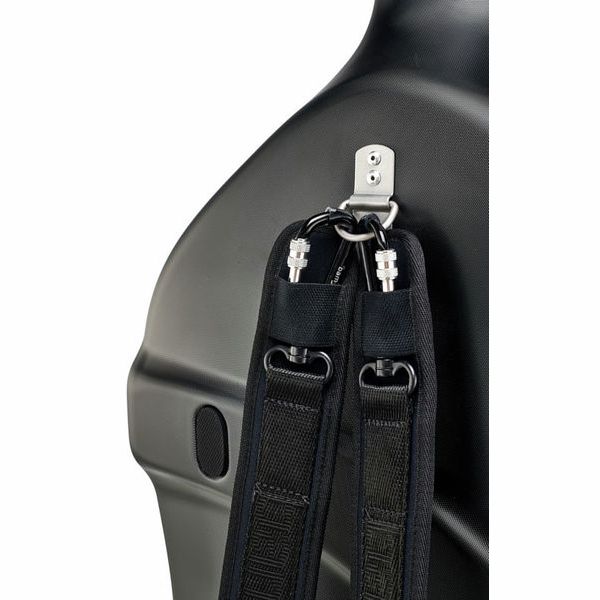 bam SUP1005XLNS Cello Case 4/4
