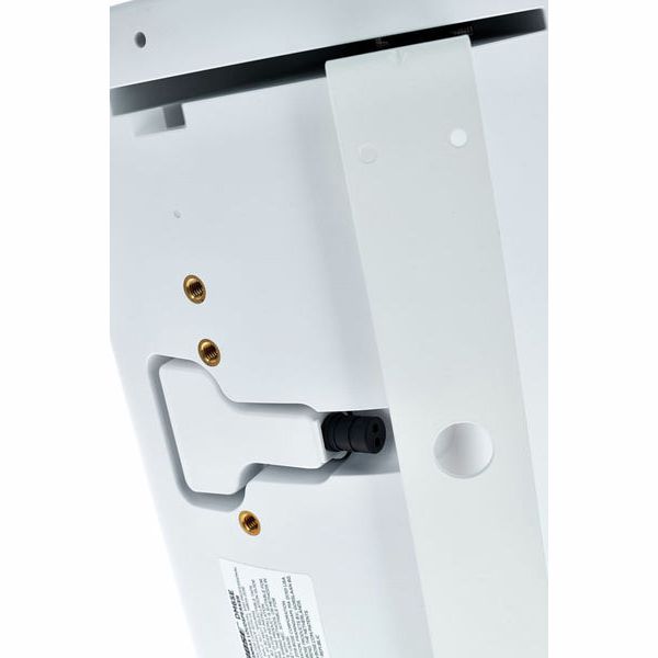 Bose Professional DesignMax DM6SE white