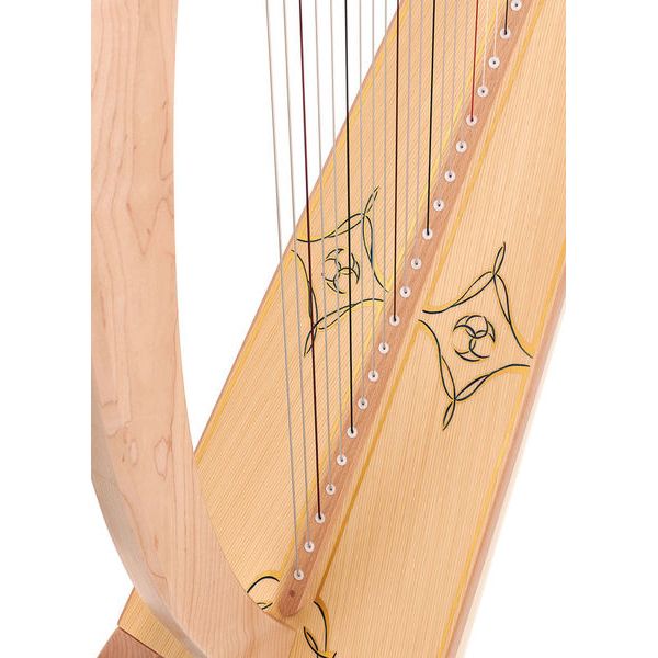 Salvi Una Deluxe Natural Silkgut