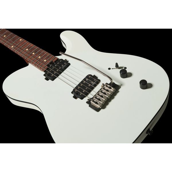 Harley Benton Fusion-T HH Roasted WM