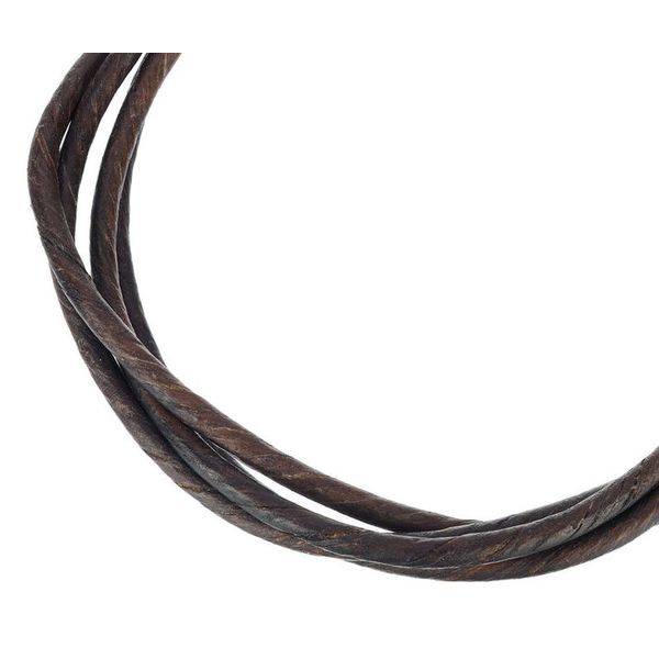 Thomann Nataraj Sarangi Strings Set