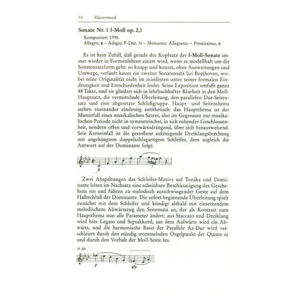 Schott Beethoven Musikführer