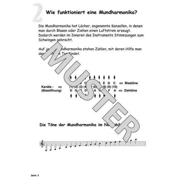 Streetlife Music Mundharmonika spielen macht