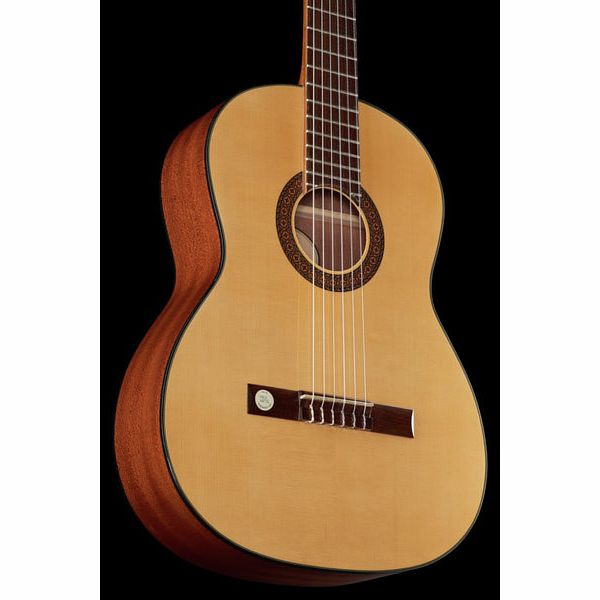 Gewa Pro Arte GC210A