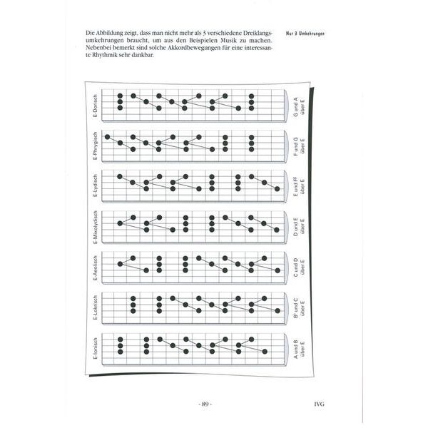 Voggenreiter In Vivo Guitar