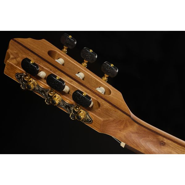 Höfner Meister Series HM65-F-CE