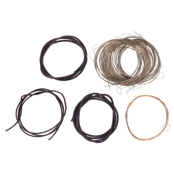 Thomann Nataraj Sarangi Strings Set