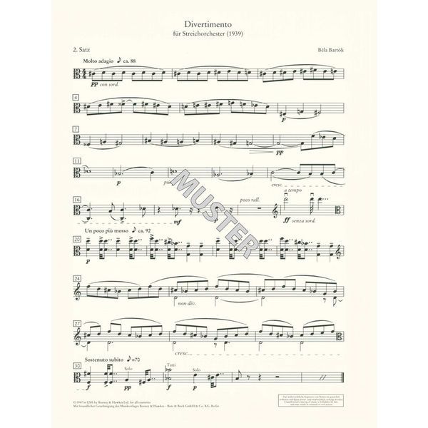 Schott Orchester Probespiel Viola