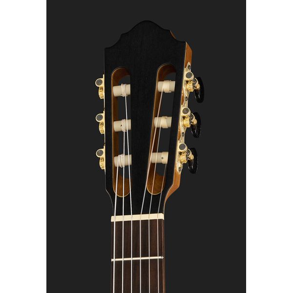 Höfner Meister Series HM65-F-CE