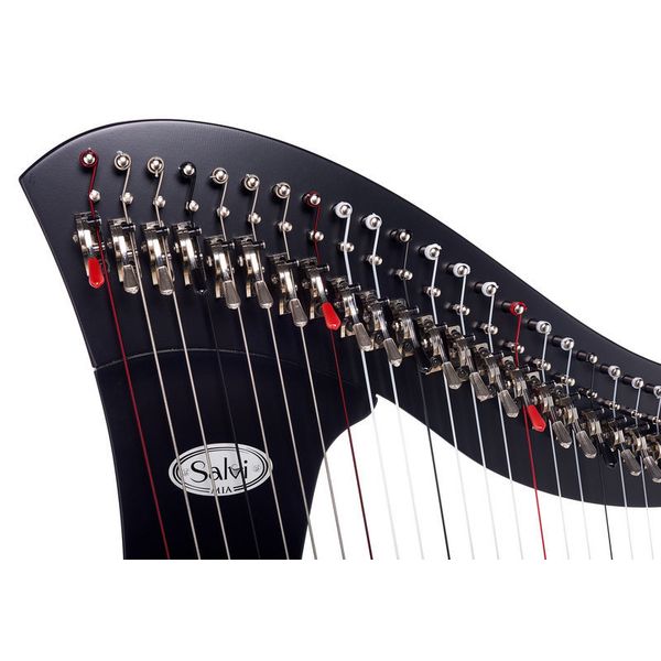 Salvi Mia 34 Ebony Silkgut