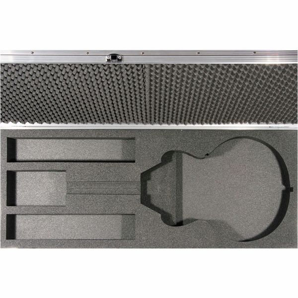 Thon Guitar Case Semi Hollow Body