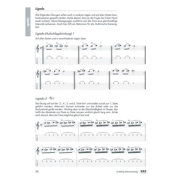 AMA Verlag Die Flamencogitarre