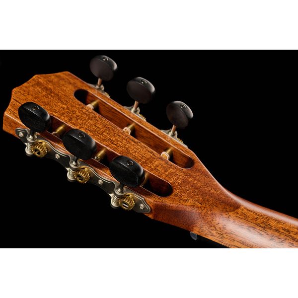 Taylor 322e-12Fret-V-Class
