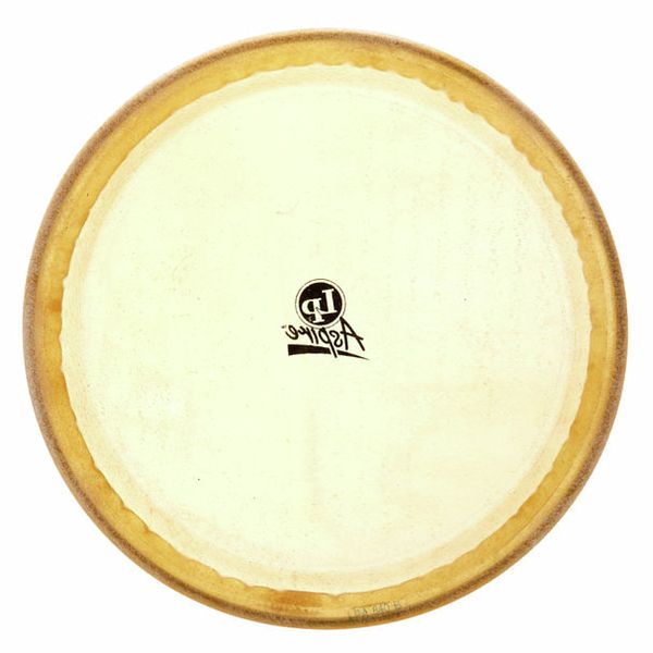 LP A640B 11" Conga Head Aspire