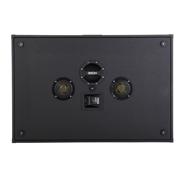 Eich Amplification TB250 Sub-Bass Bundle