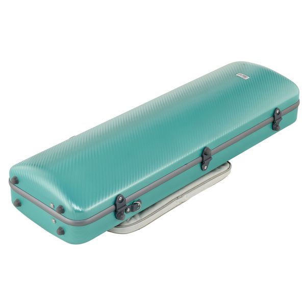 Gewa Pure Vn Case OC Fun G/G