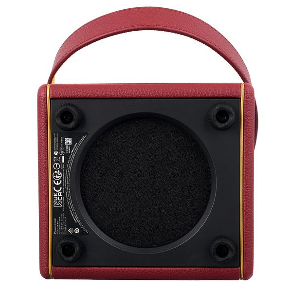 Positive Grid Spark Mini VAI