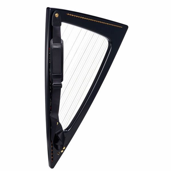 Salvi Delta Electric Harp Ebony