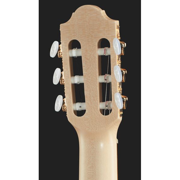 Gewa Pro Natura Gold 4/4 m/Bag